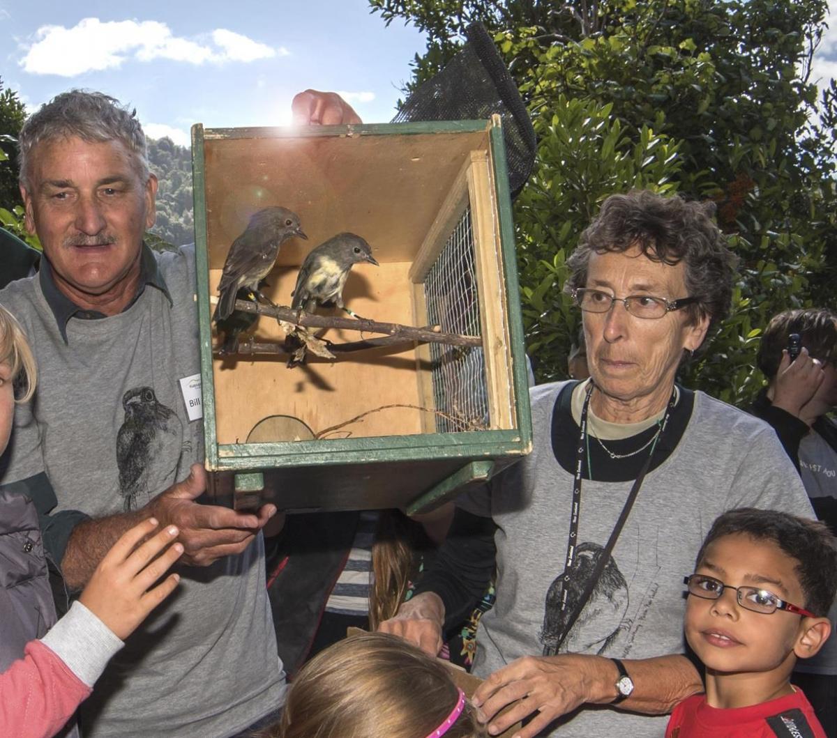 Photo Gallery  - Releasing Sth Is Robin on Kaipupu Point, 1 March 2016 