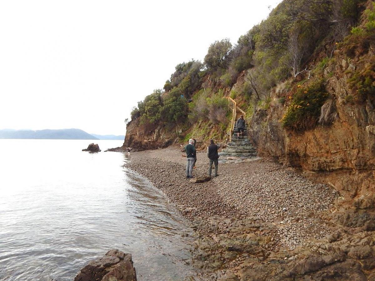 Photo Gallery  - Karaka Point Stairs Upgrade to the Bay 