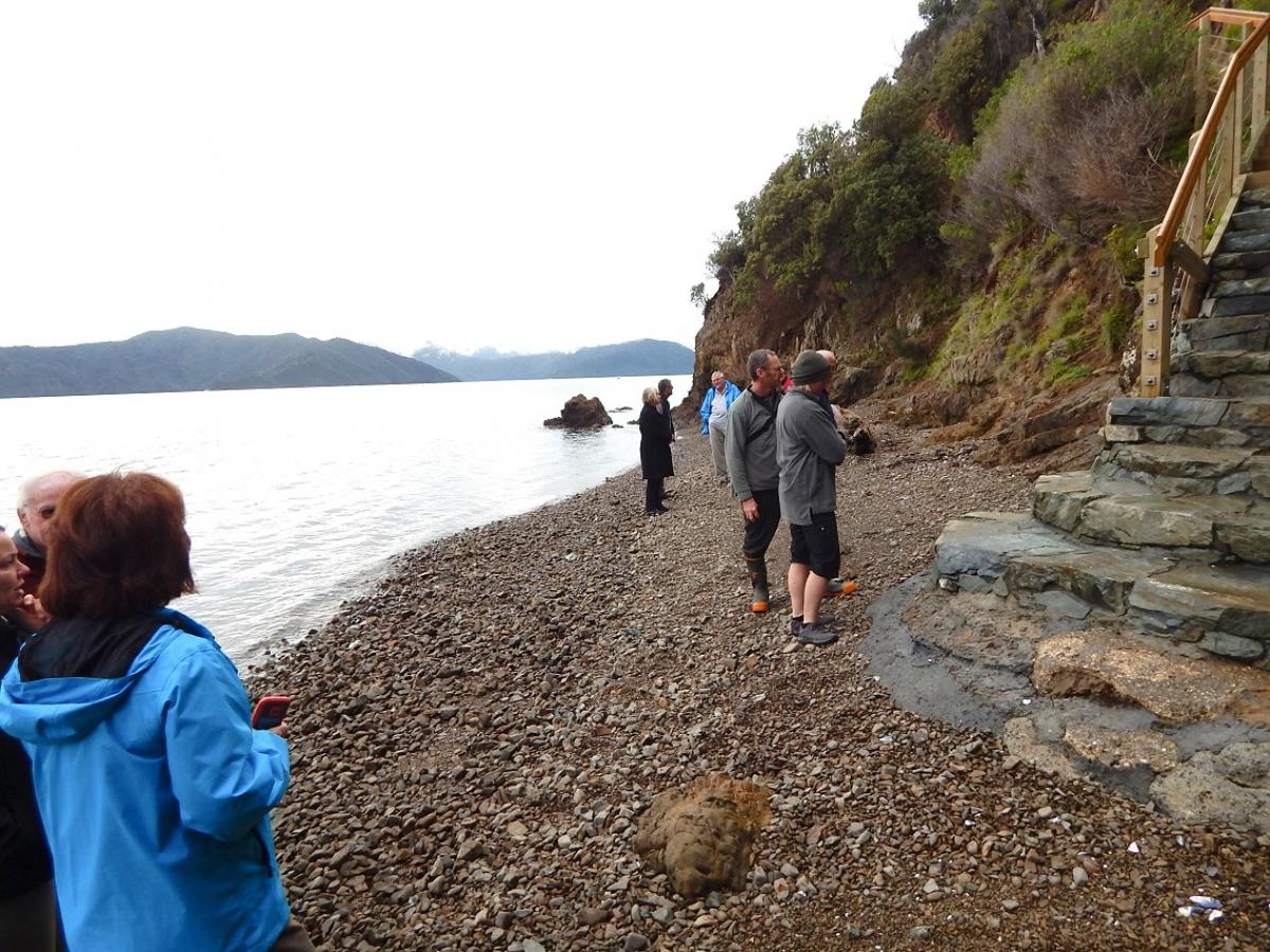 Photo Gallery  - Karaka Point Stairs Upgrade to the Bay 