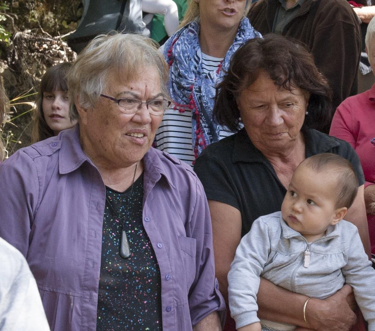 Kaitiaki o Te Taiao - Photo's  - Witnessing the release of Sth Is Robin on Kaipupu Point, 1 March 2016 