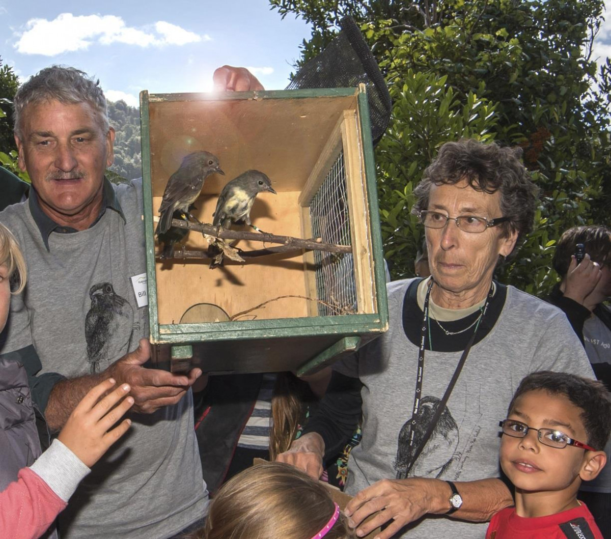 Kaitiaki o Te Taiao - Photo's  - Releasing Sth Is Robin on Kaipupu Point, 1 March 2016 