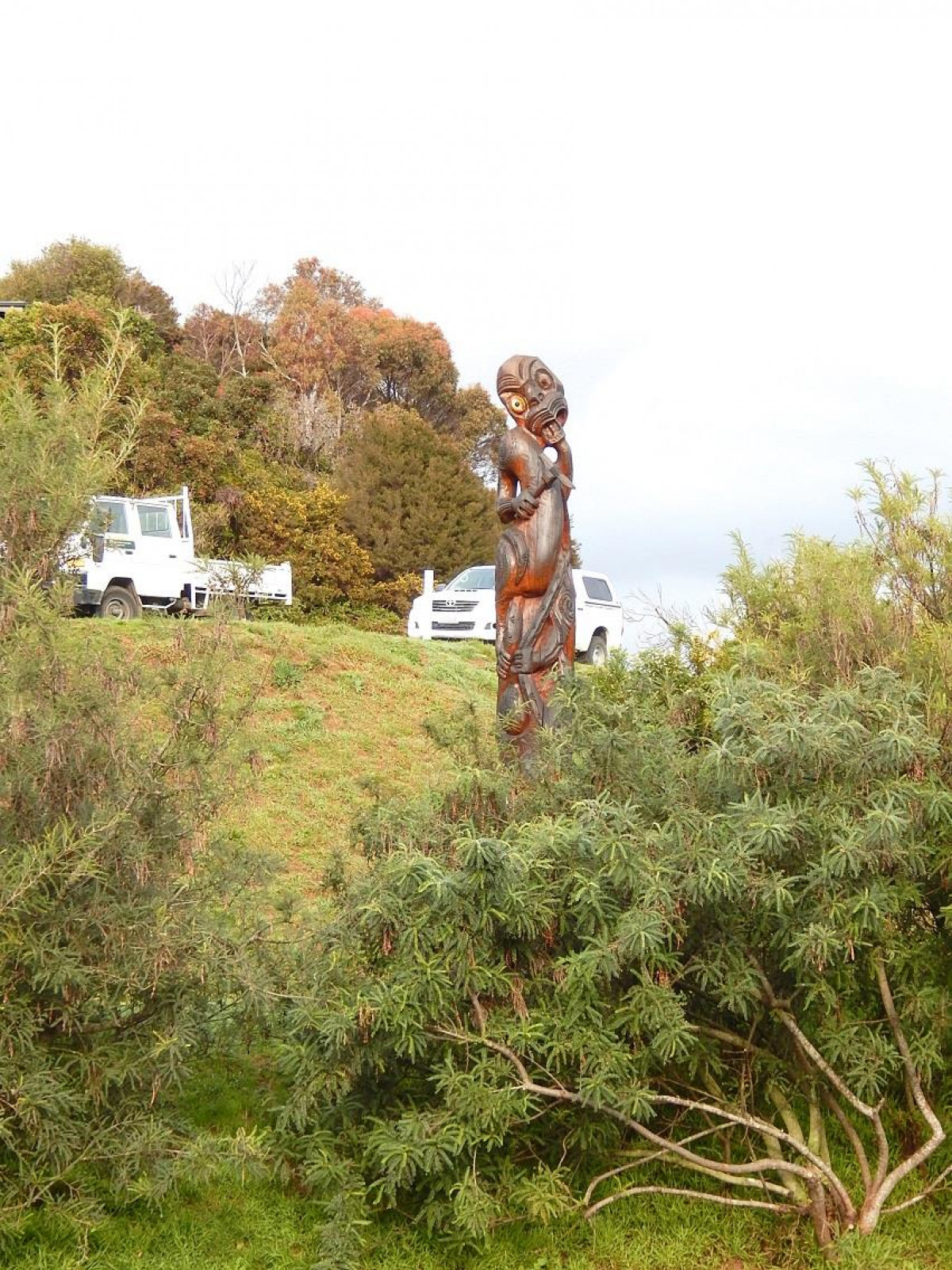 Kaitiaki o Te Taiao - Photo's  - Pou o Te Wheke, Karaka Point 