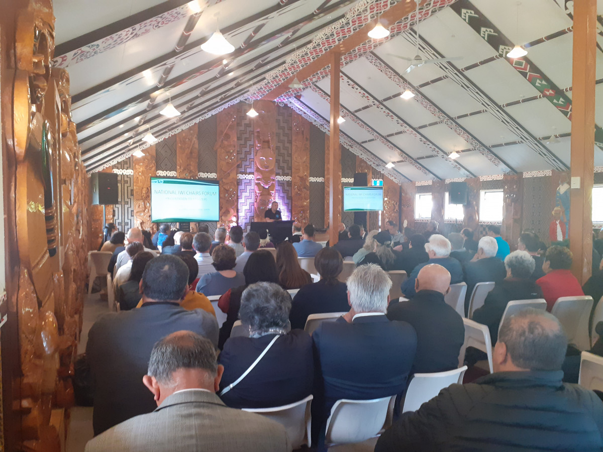 National Iwi Chairs Forum 2019  - Iwi Chairs 