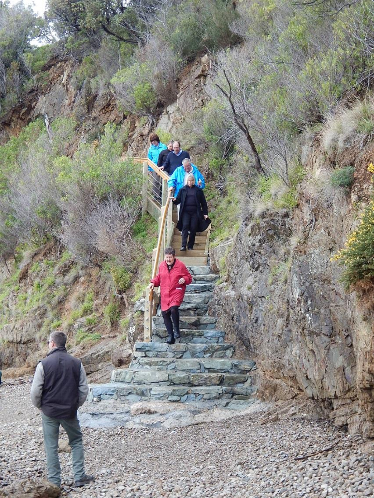 Kaitiaki o Te Taiao - Photo's  - Karaka Point Stairs Upgrade to the Bay 