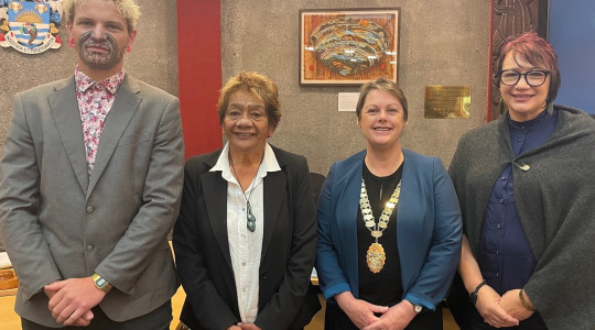 Iwi reps take their seat at council committee table