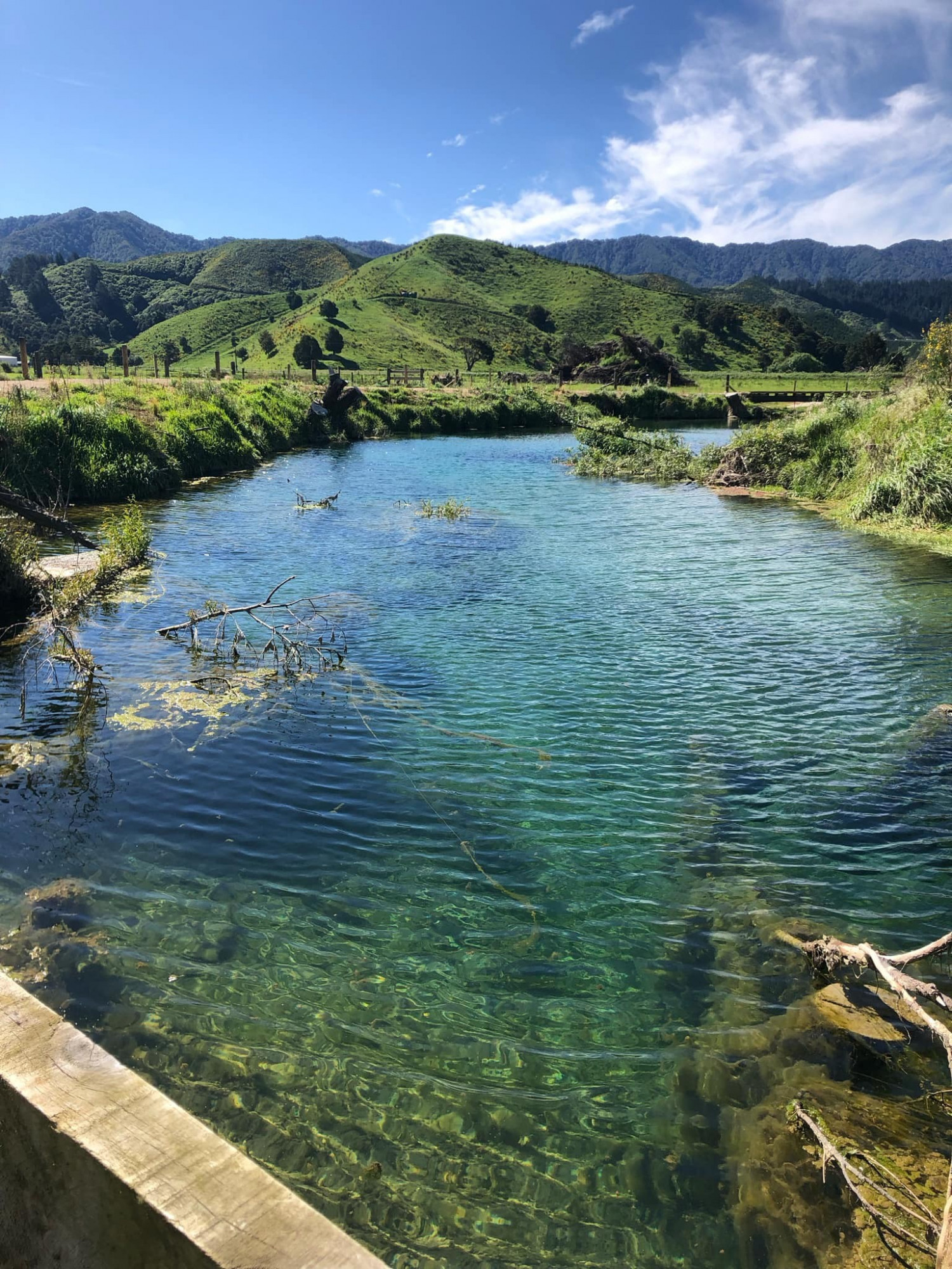 Waiora Restoration Projects