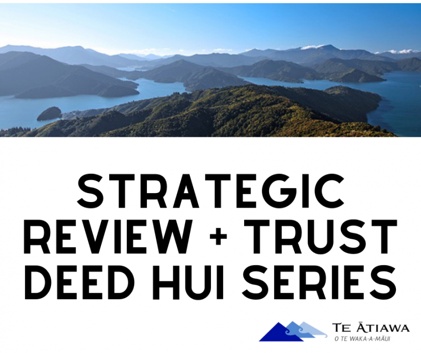 Upcoming hui series – he aha ō whakairo?