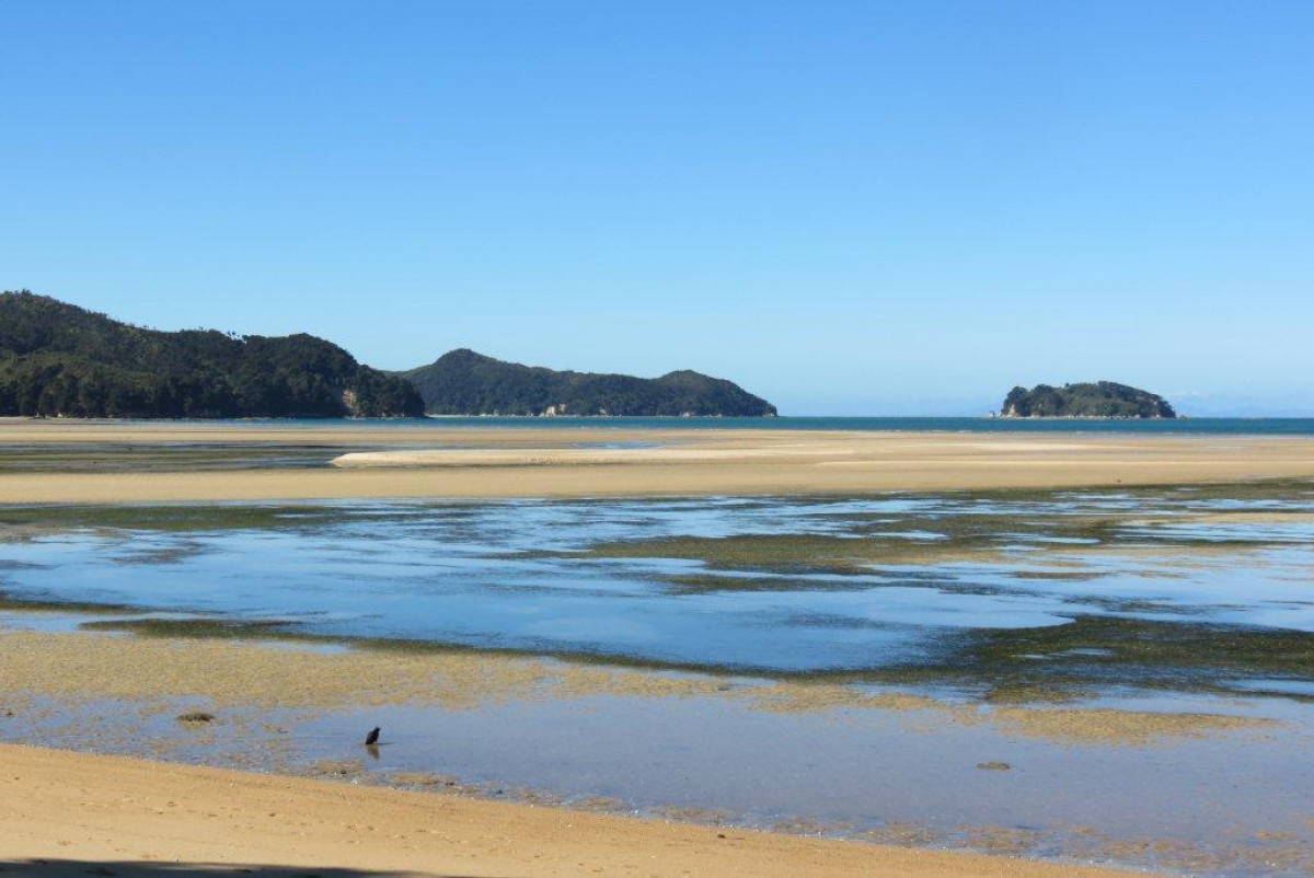 Cultural Site Visit March 2015  - Marahau Beach<br />
 