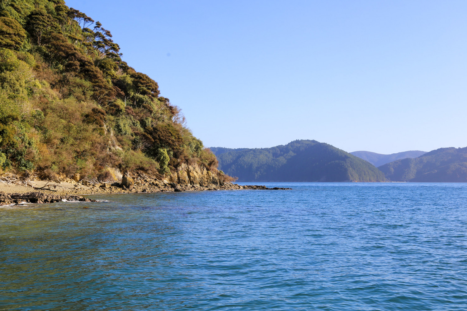 Oruawairua/ Blumine Island - Aerial Deer Control