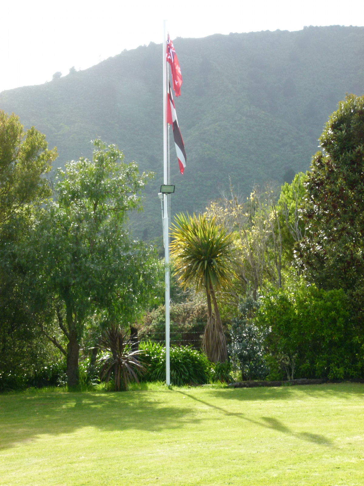 National Iwi Chairs Forum 2019  - Ngā haki 