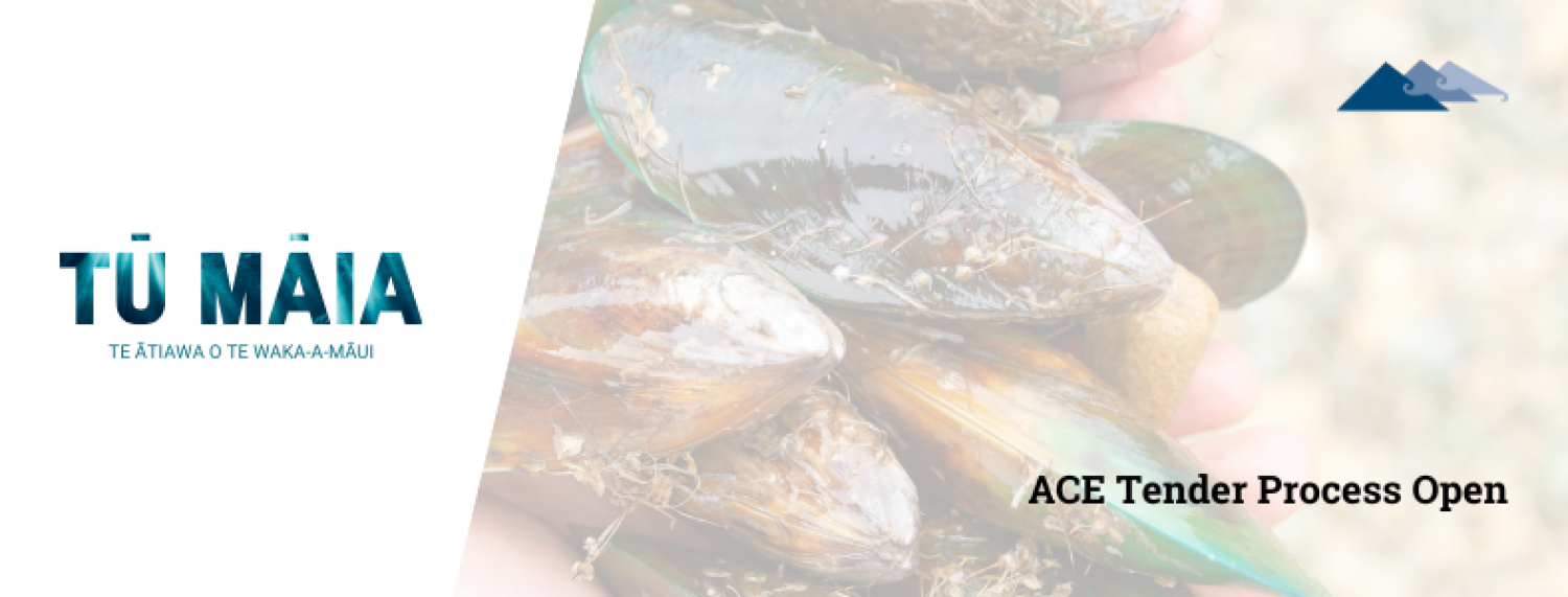 2025 ACE Tender Process