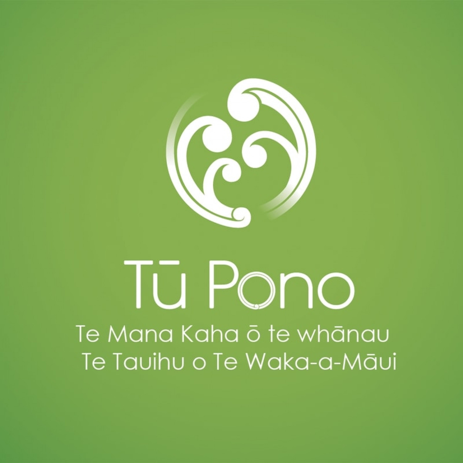 VACANCY Pouwhakahaere Manager Tū Pono Te Mana Kaha O Te Whānau O