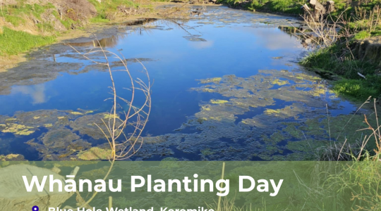 Waitoari, Waiora | Whānau Planting Day