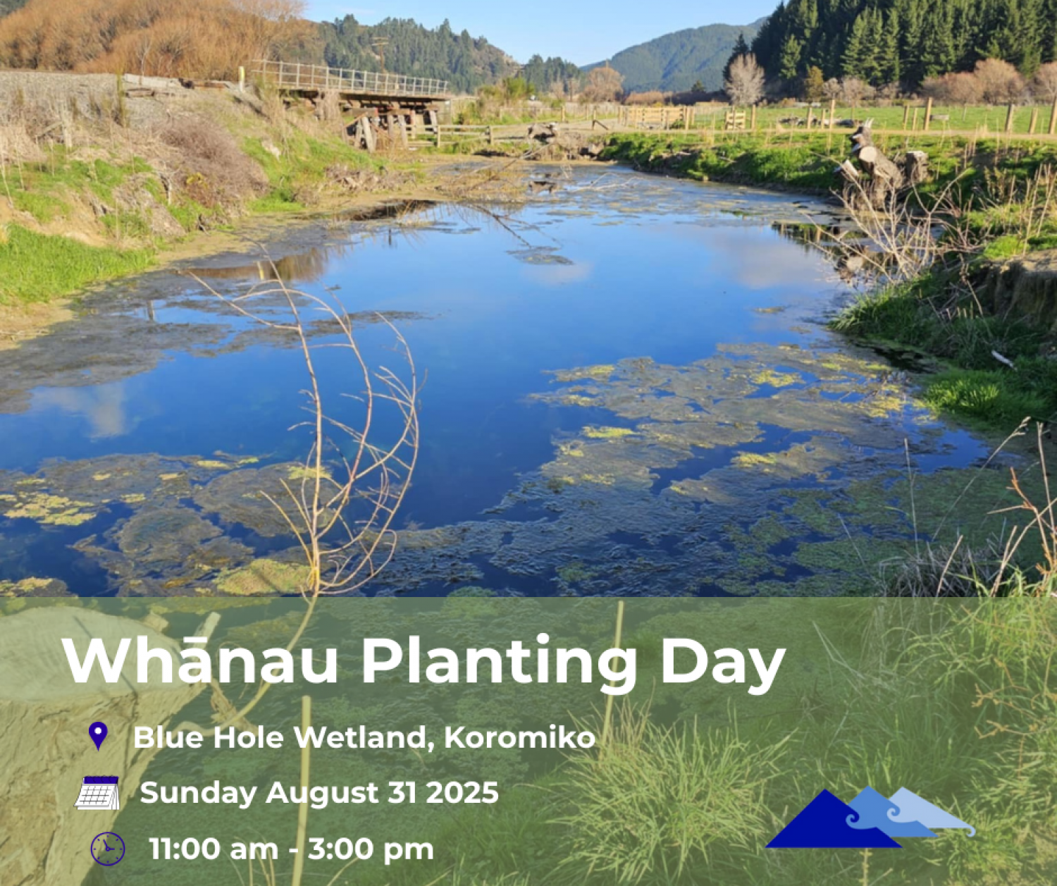 Waitoari, Waiora | Whānau Planting Day