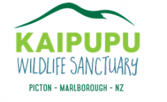 Kaipupu Newsletter
