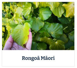 Ronogmai Maori