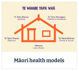 Maori health models